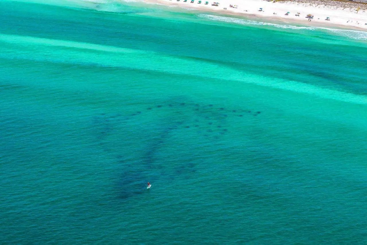 Leeward Key 1201 Villa Destin USA